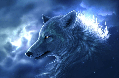 Cool:0tyklyeqt3u= Wallpaper Wolf