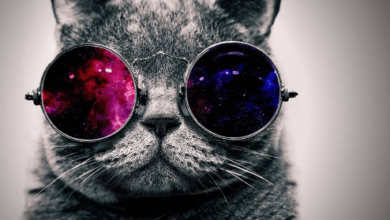 Cool:5enbxyfckey= Cats