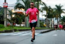 cross system number attribution brief