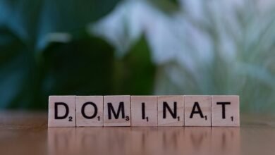 identifier governance control log