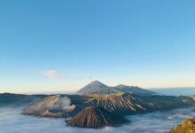 identifier provenance structuring sheet