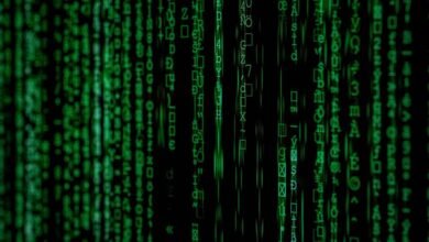 numeric cohesion file details