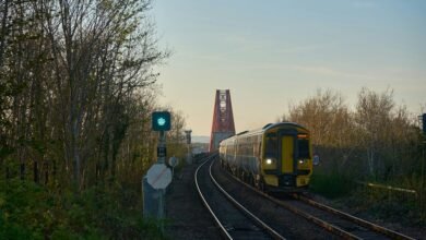 numeric signal attribution summary