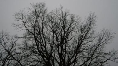 sequential number validation process