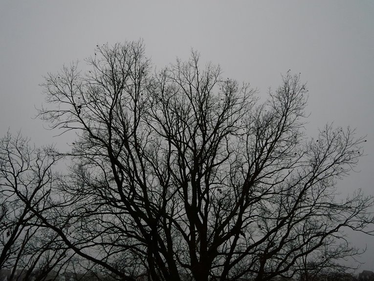 sequential number validation process